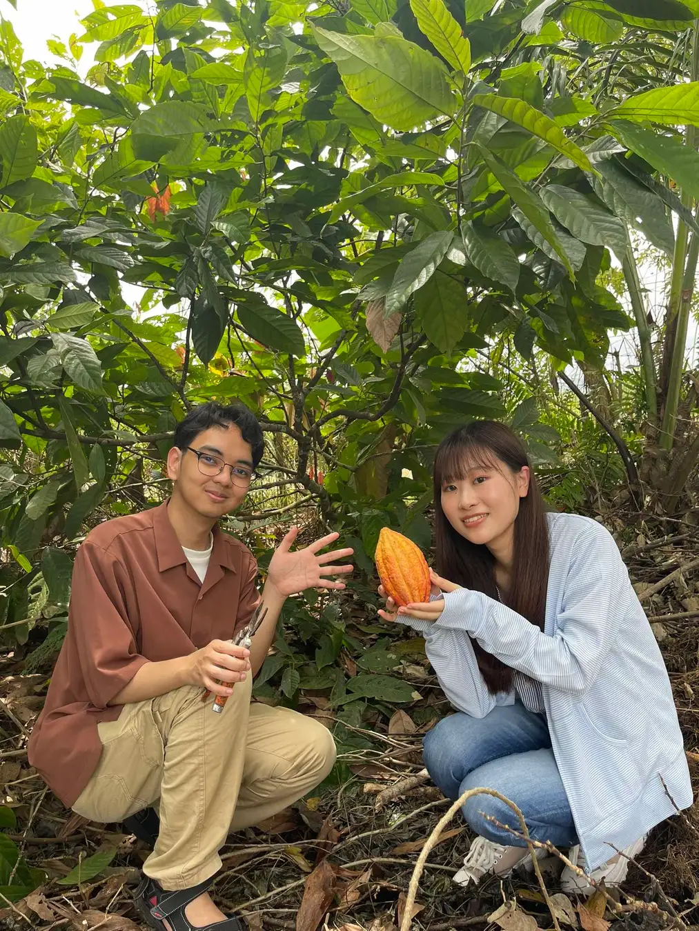 留学ニュース